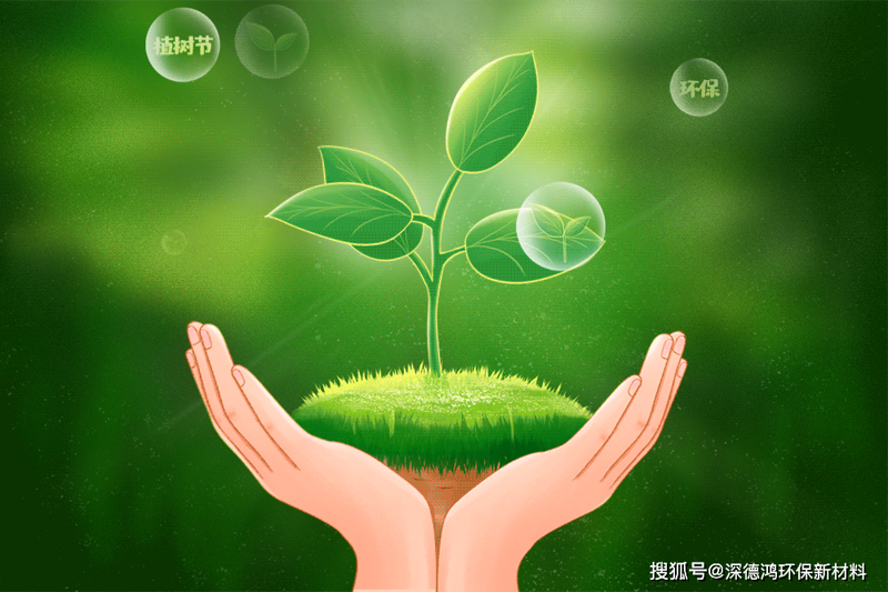 防水卷材：市场动态与发展趋势分析